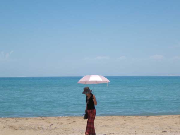 美麗的青海湖