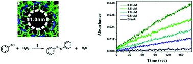 PolyChem--A folding-directed cat