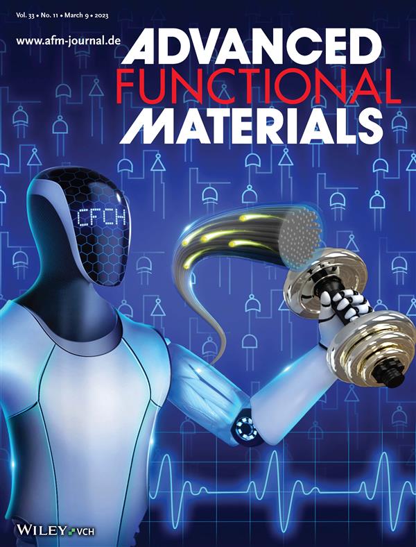 鏉庡嫕鐢风殑鏂囩珷浣滅偤Adv Funct Mater